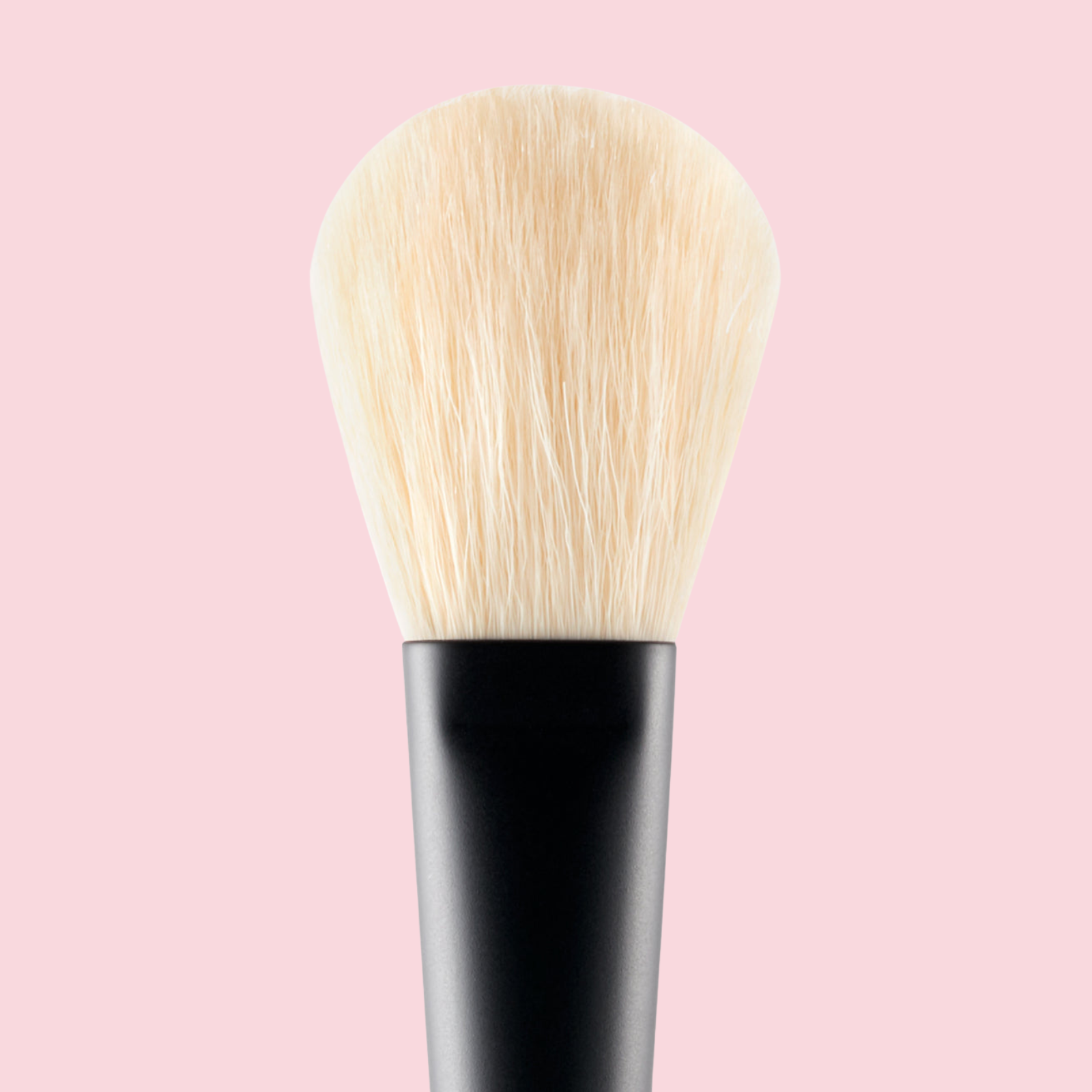 Powder Brush