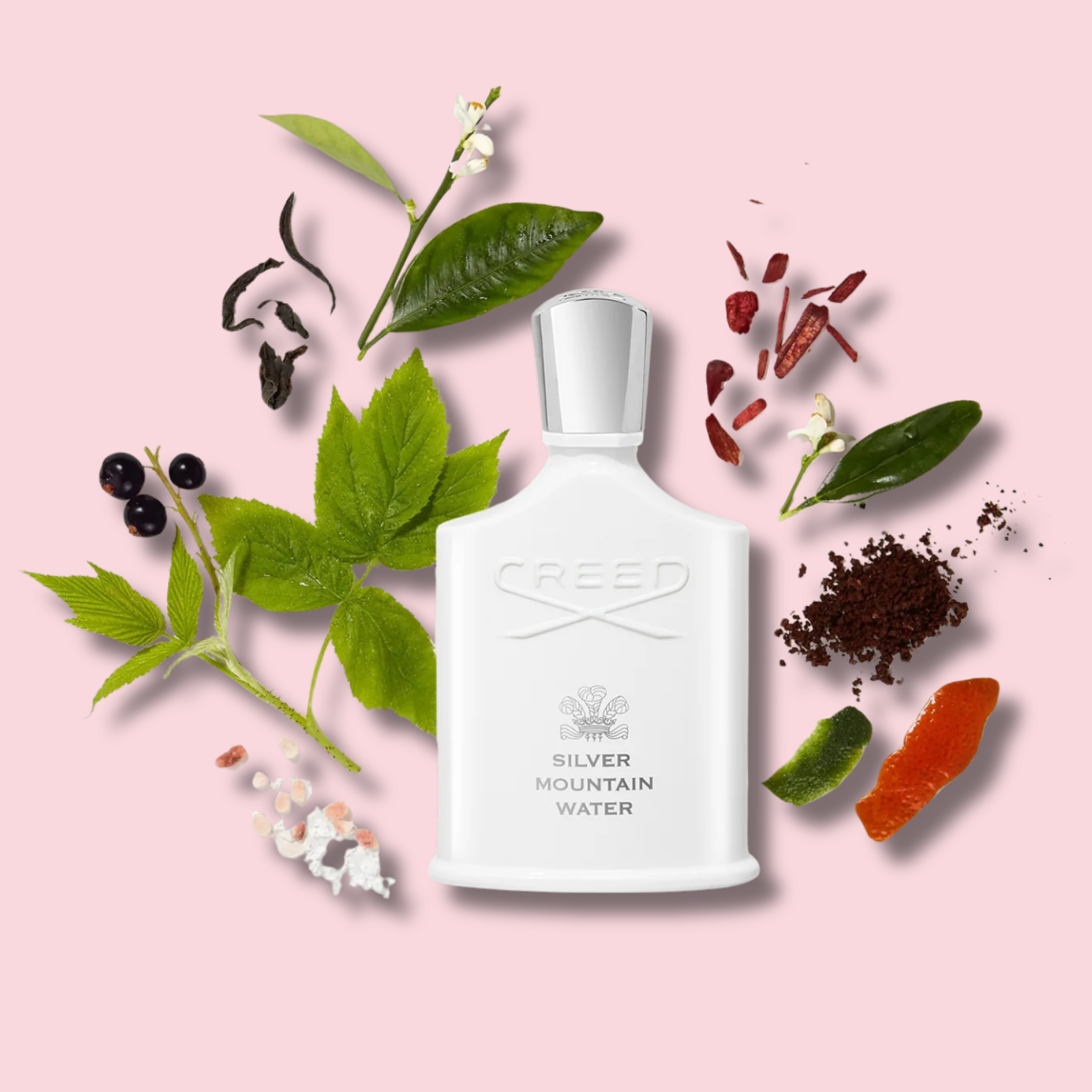 Silver Mountain Water Eau de Parfum