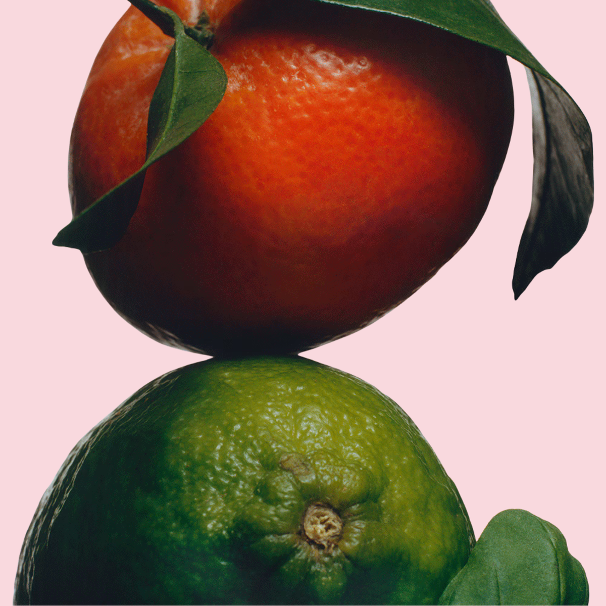 Lime Basil & Mandarin Cologne