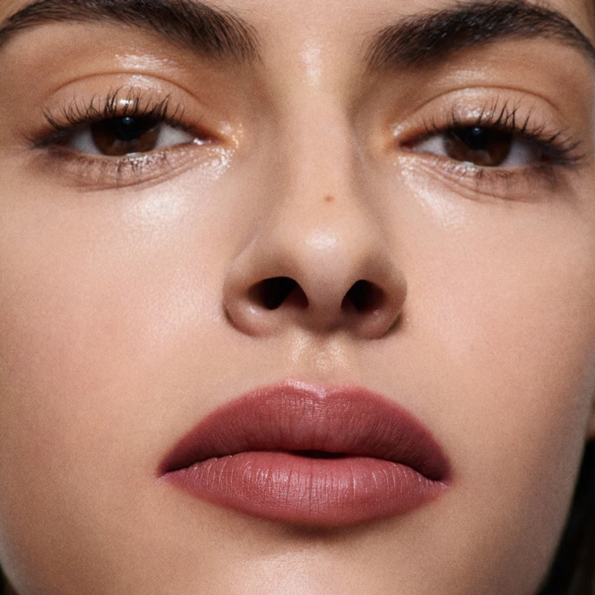 Lip Definer Precision