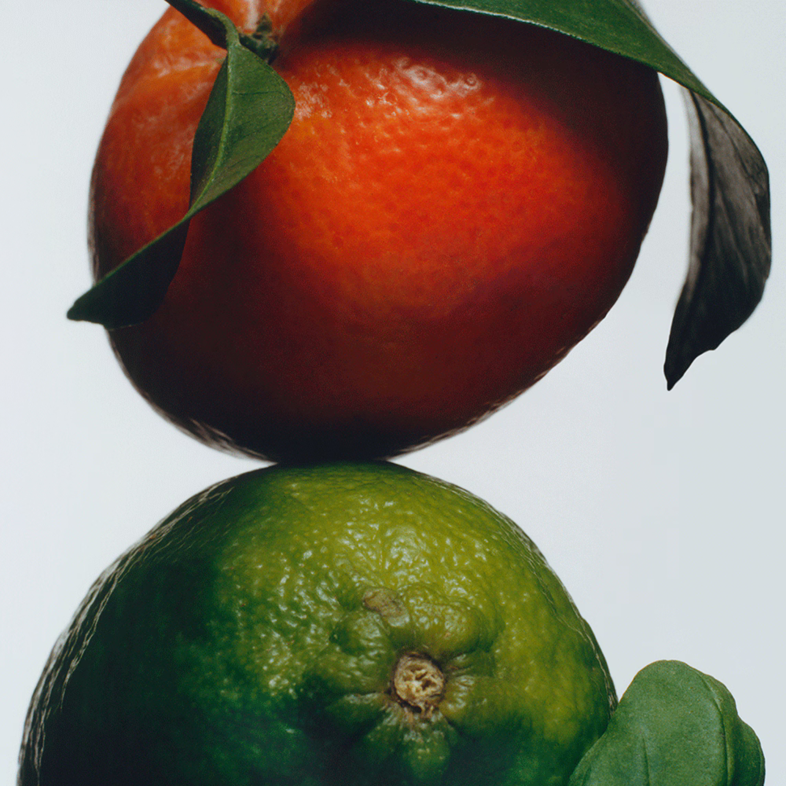 Lime Basil & Mandarin Body & Hand Lotion