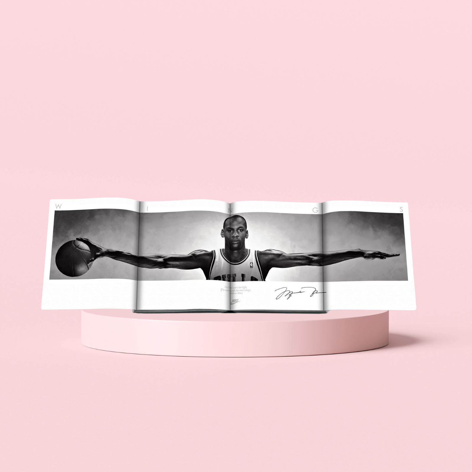 Air Jordan