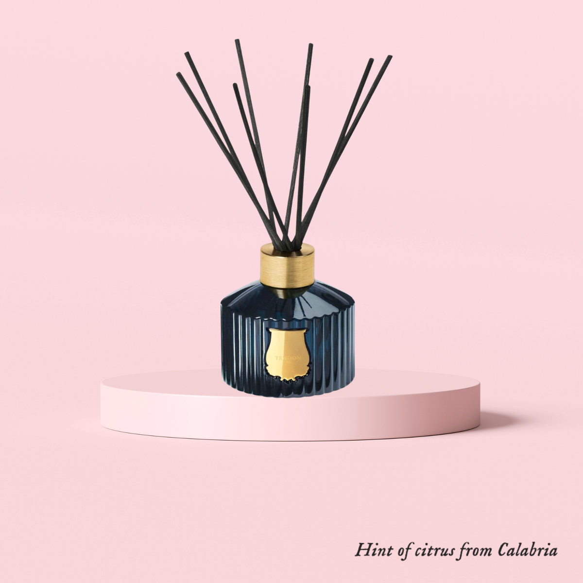The Diffuser Reggio