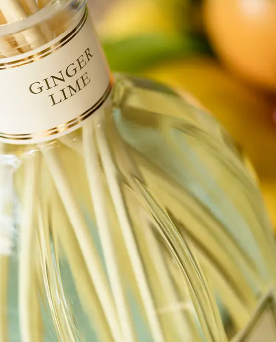Ginger Lime - Millo