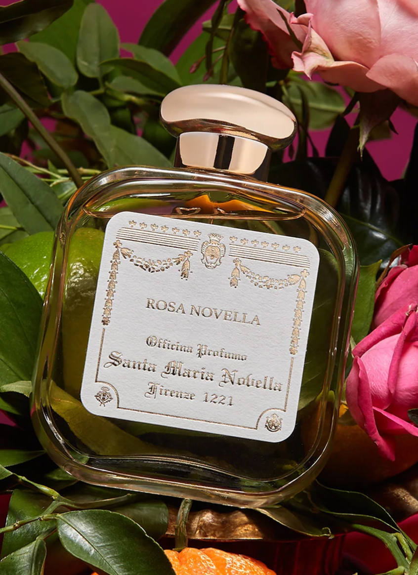 ROSA NOVELLA - Millo