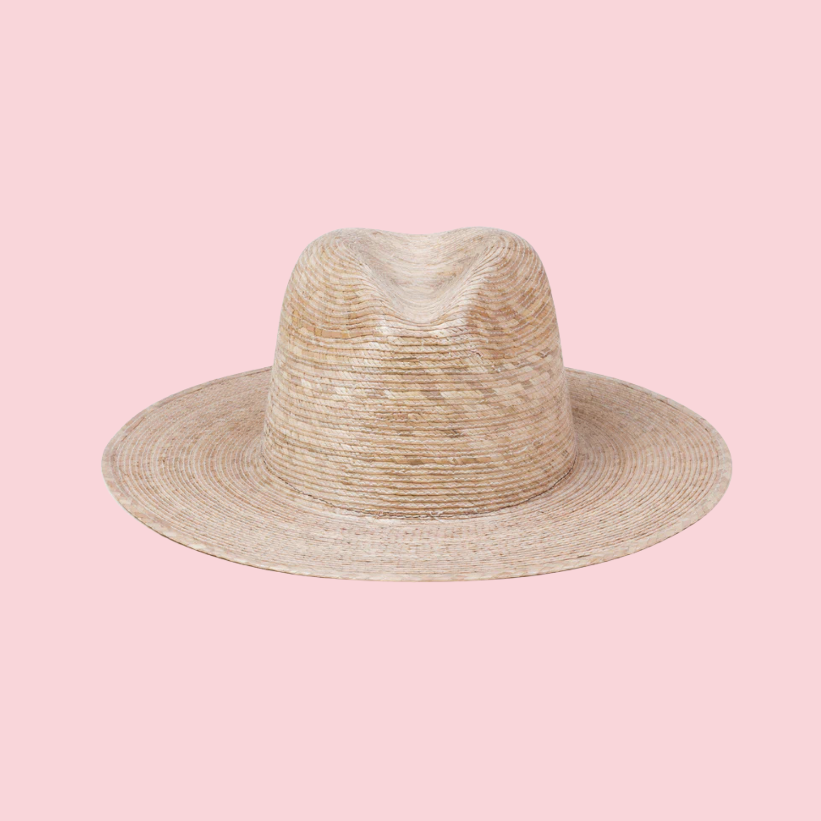 PALMA FEDORA