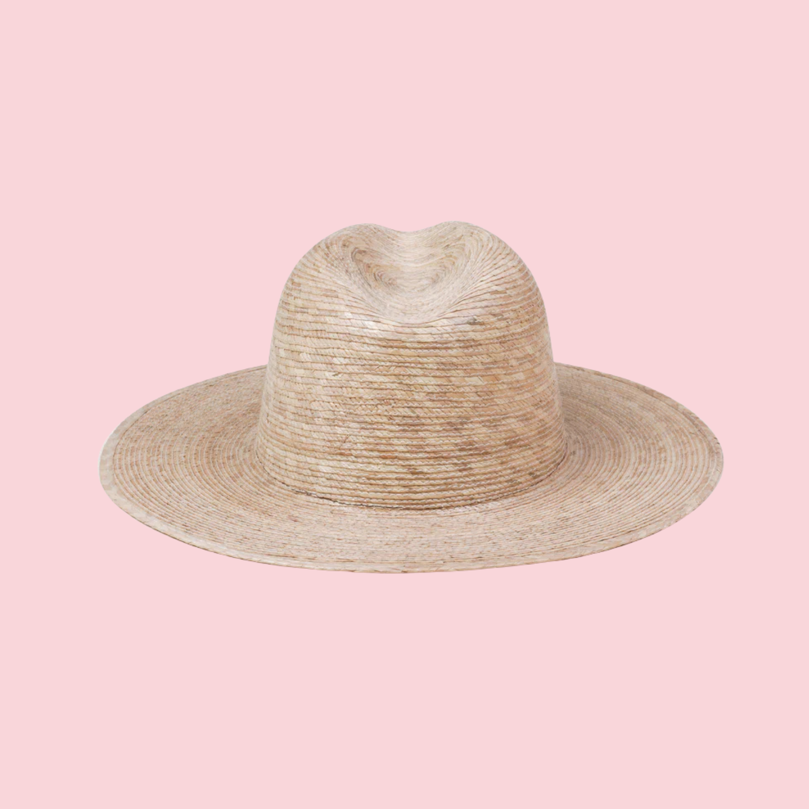PALMA FEDORA