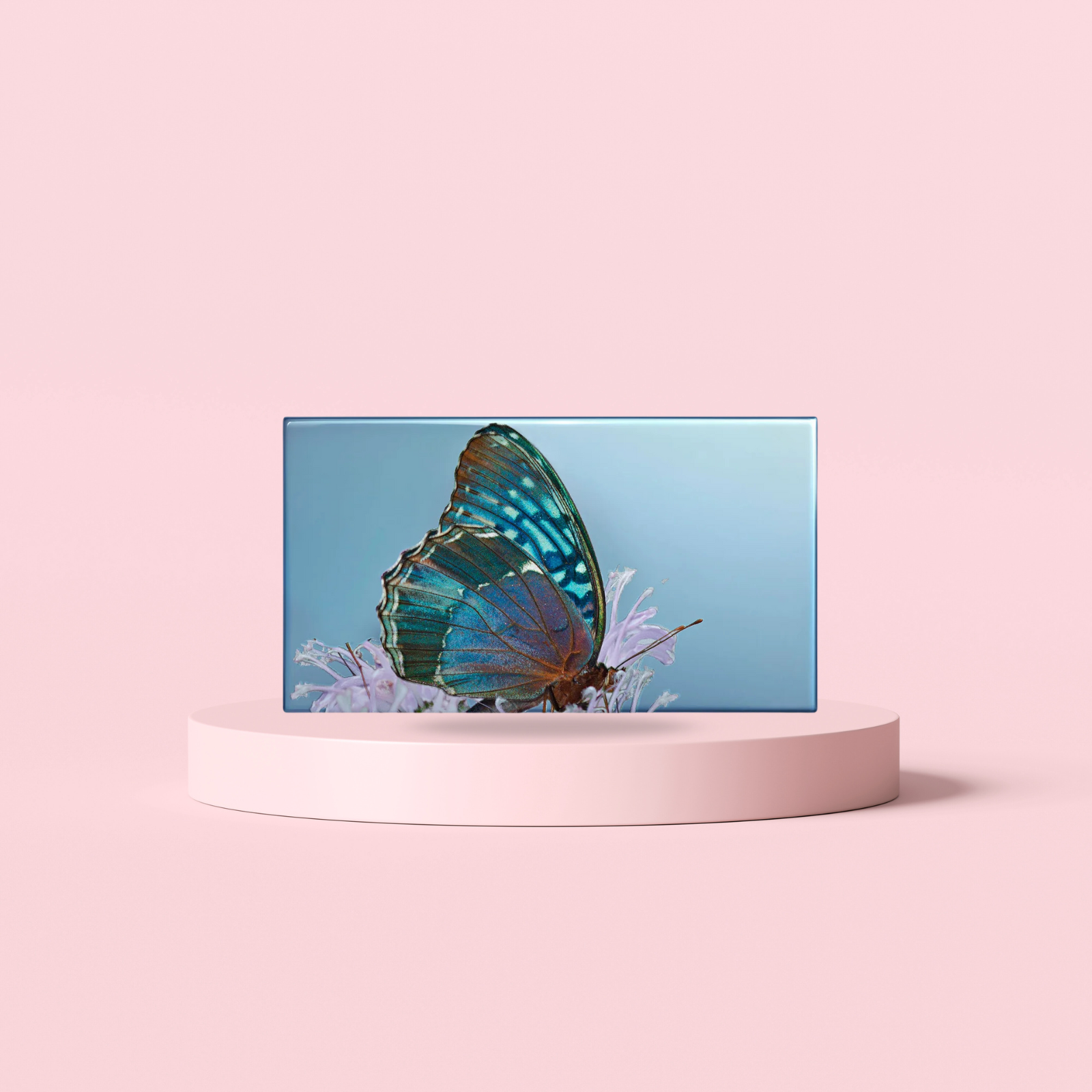 Les Papillons Diana Eye Trio