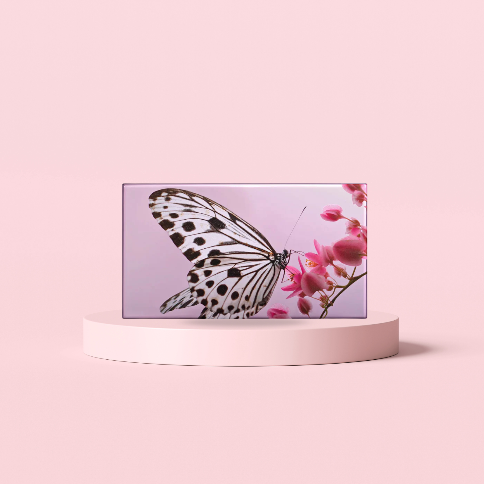 Les Papillons Nymph Eye Trio