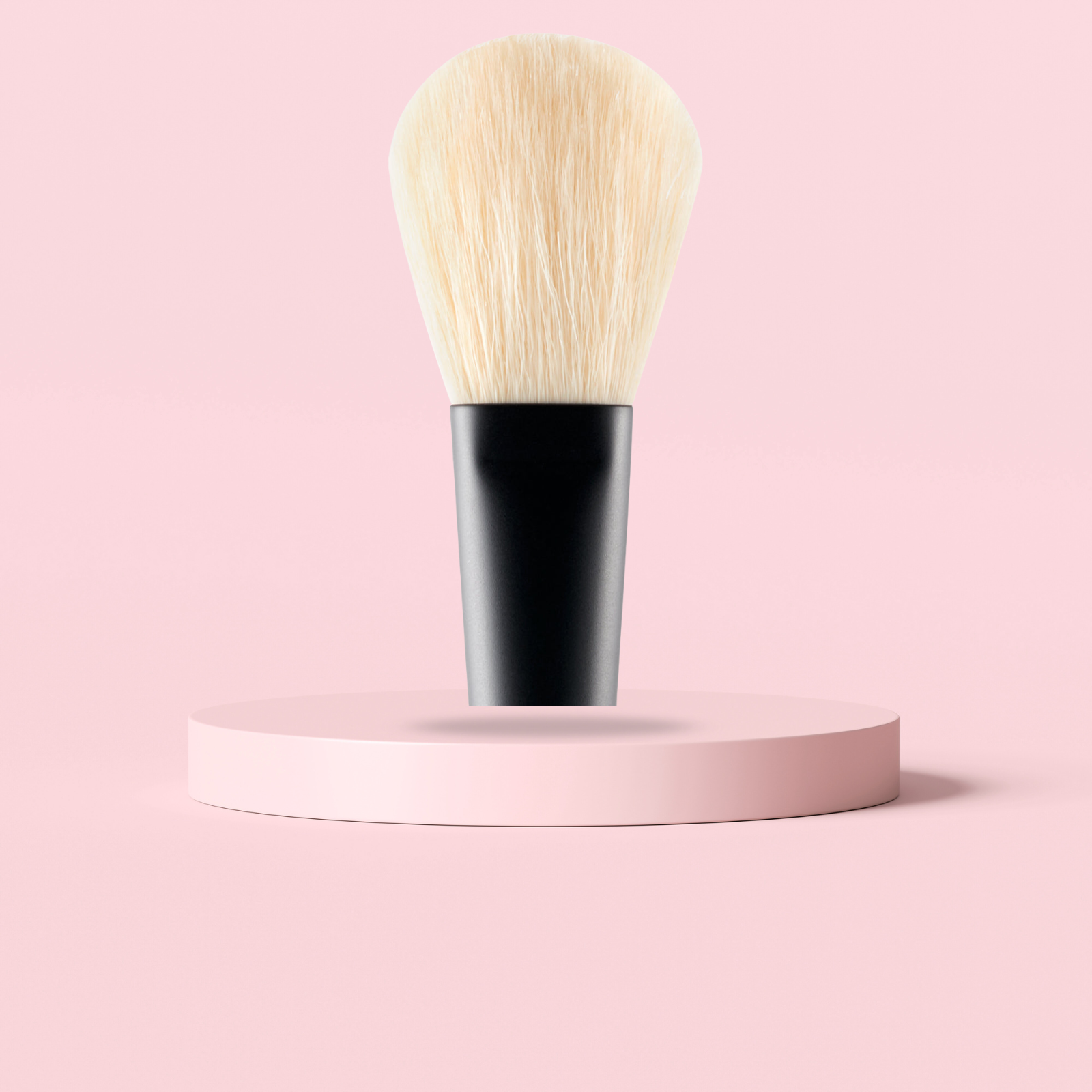 Powder Brush