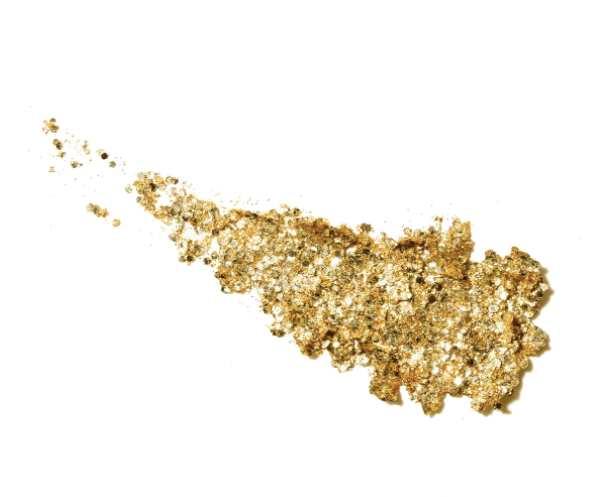 House Party 24k Gold - Hair & Body Glitter Stick - Millo Jewelry