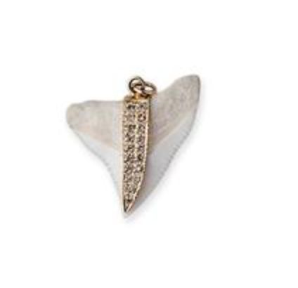 Shark tooth charm - Millo Jewelry