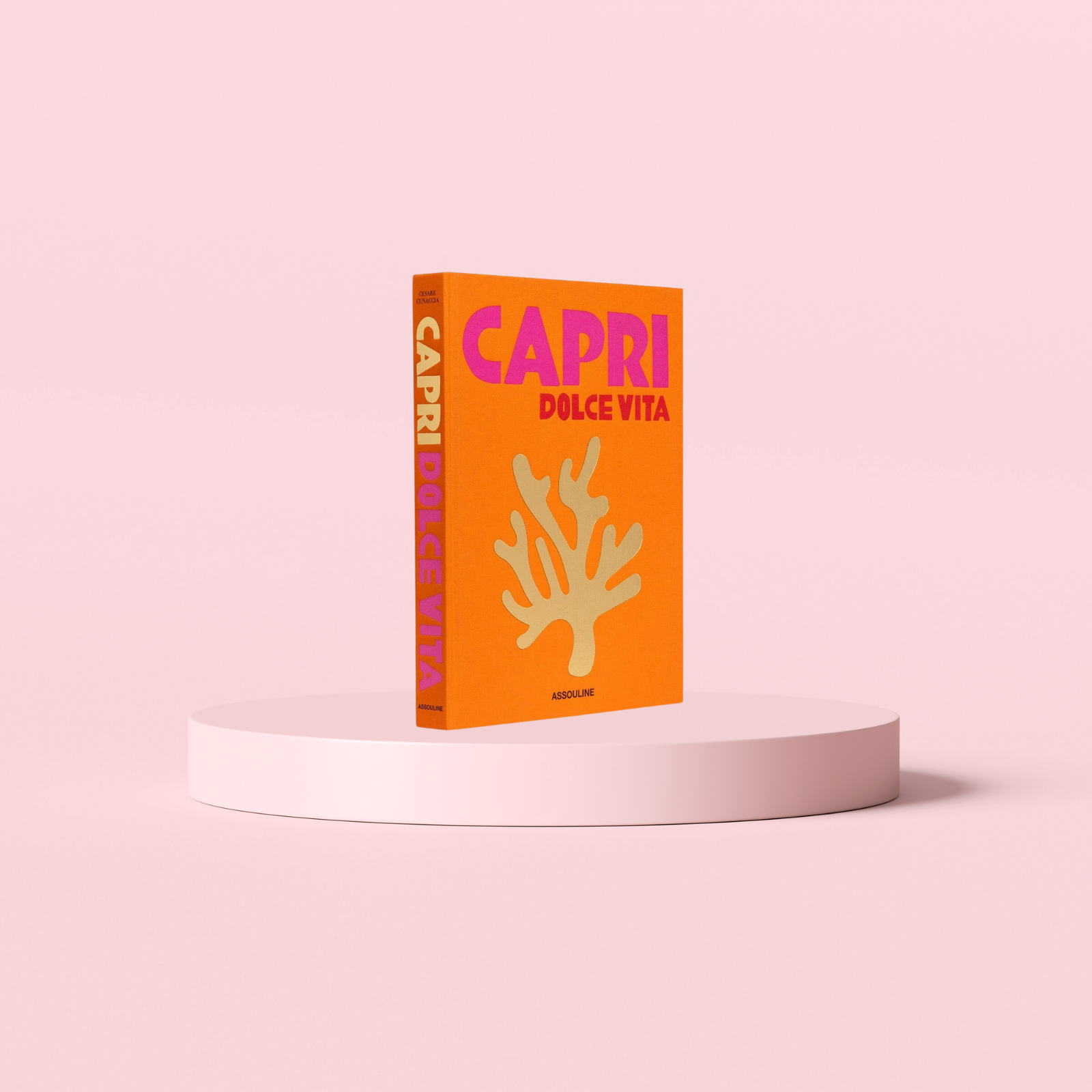Travel Series Book
