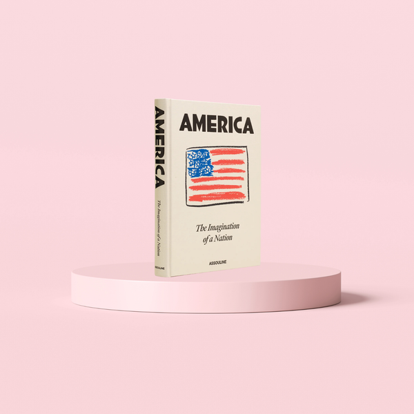 America: The Imagination of a Nation