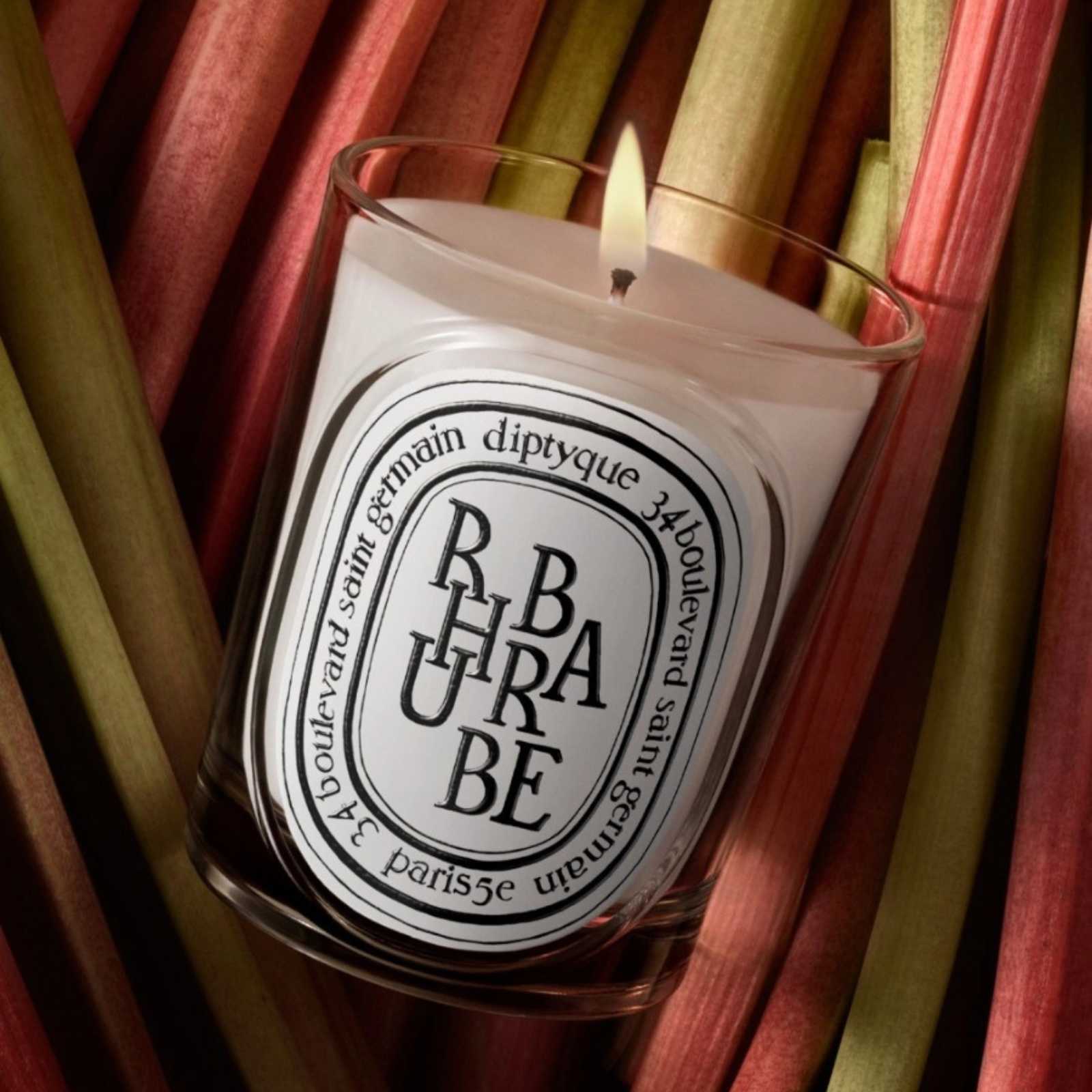 Rhubarbe (Rhubarb)