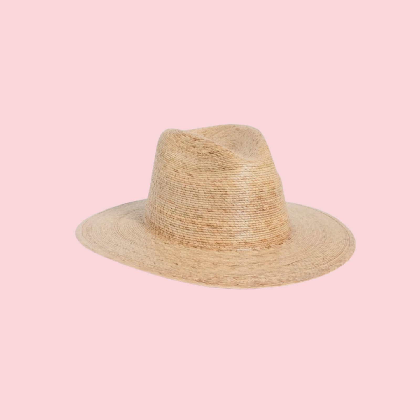 Palma Fedora
