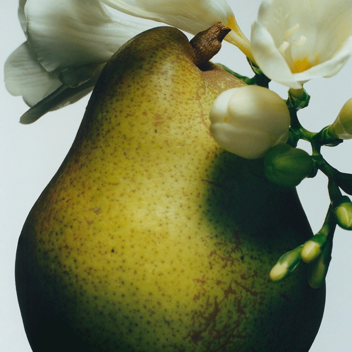 English Pear & Freesia Diffuser