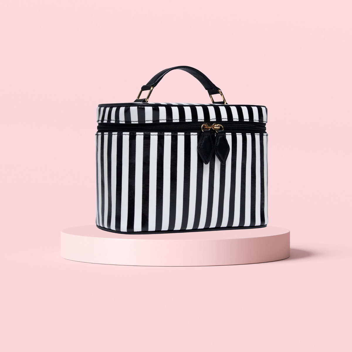 Jet Set And Go Vanity Case
