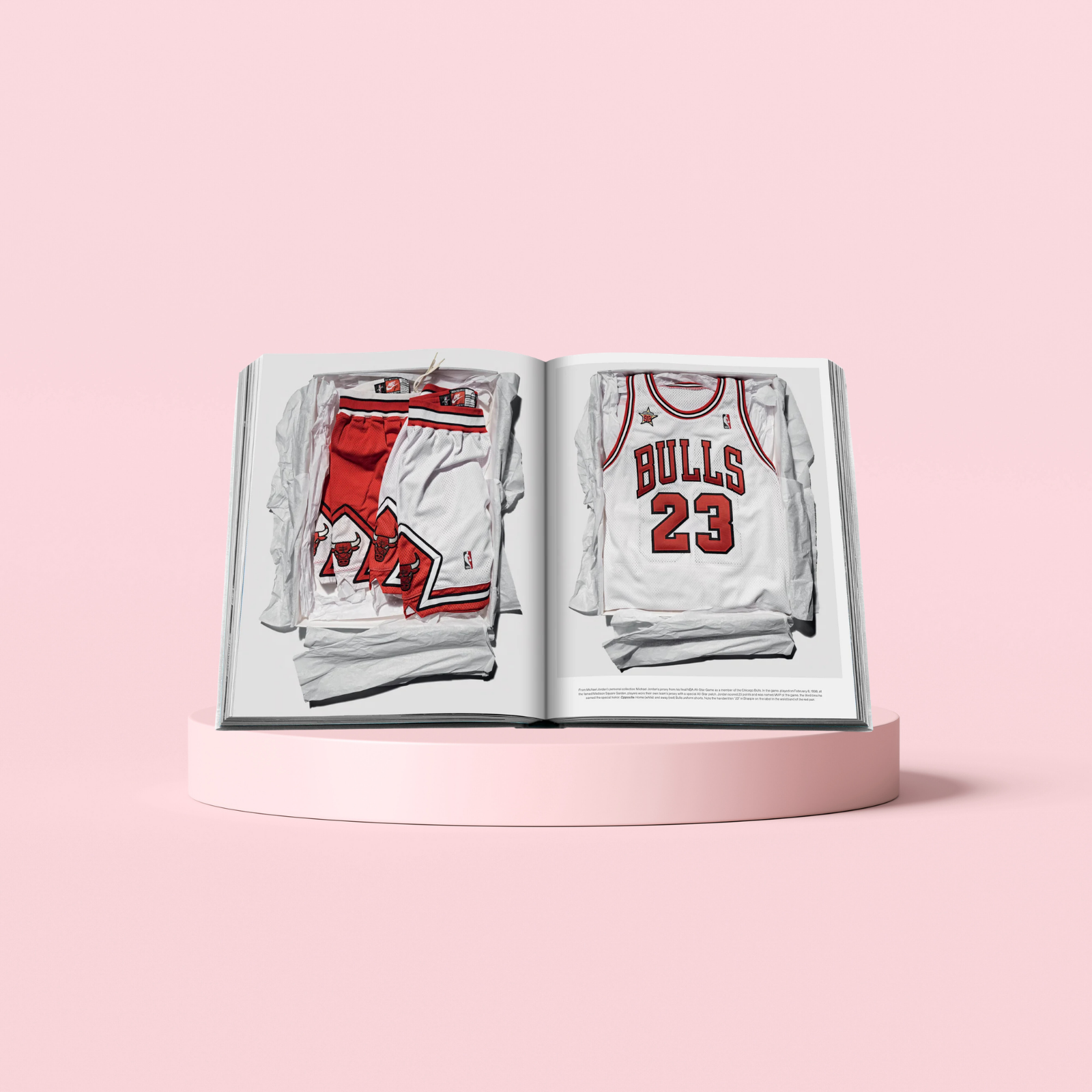 Air Jordan