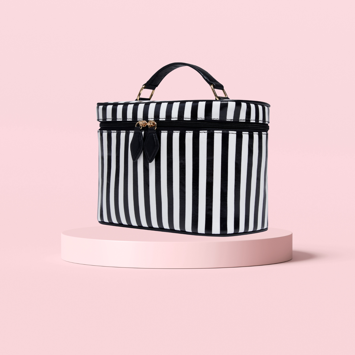 Jet Set And Go Vanity Case
