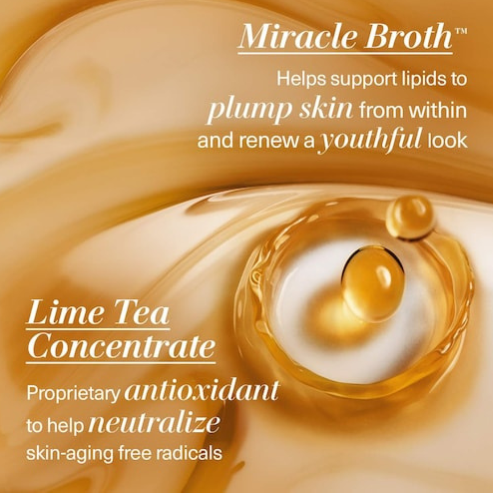 The Concentrate Serum