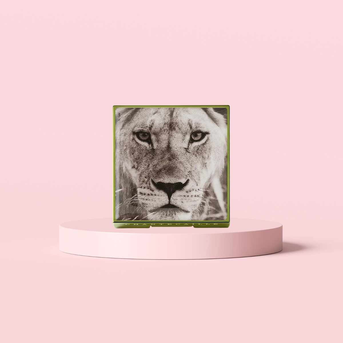 Luminescent Eye Shade - Lion Collection