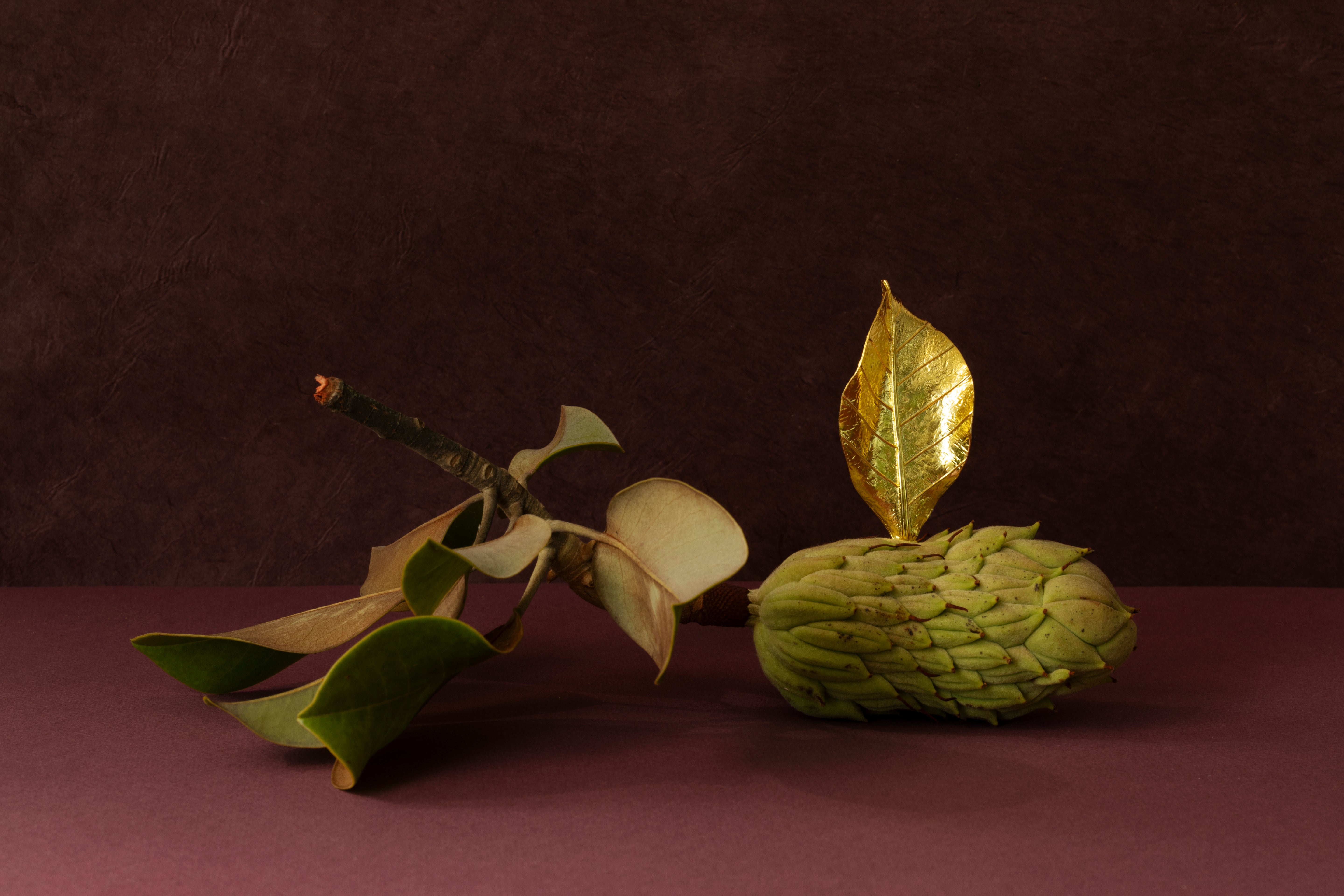 Botanicals Petals of Grace Earrings