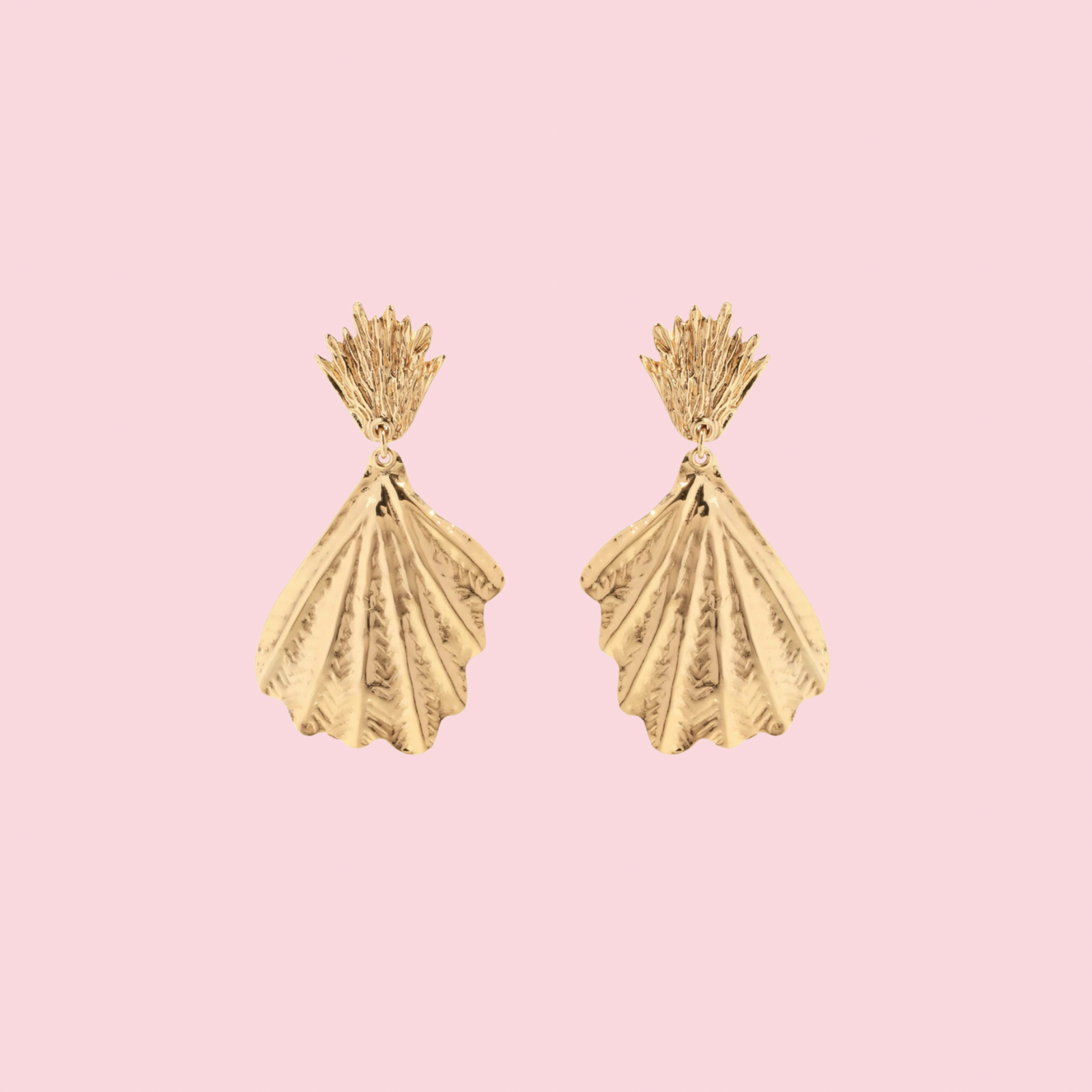 Shell Earings