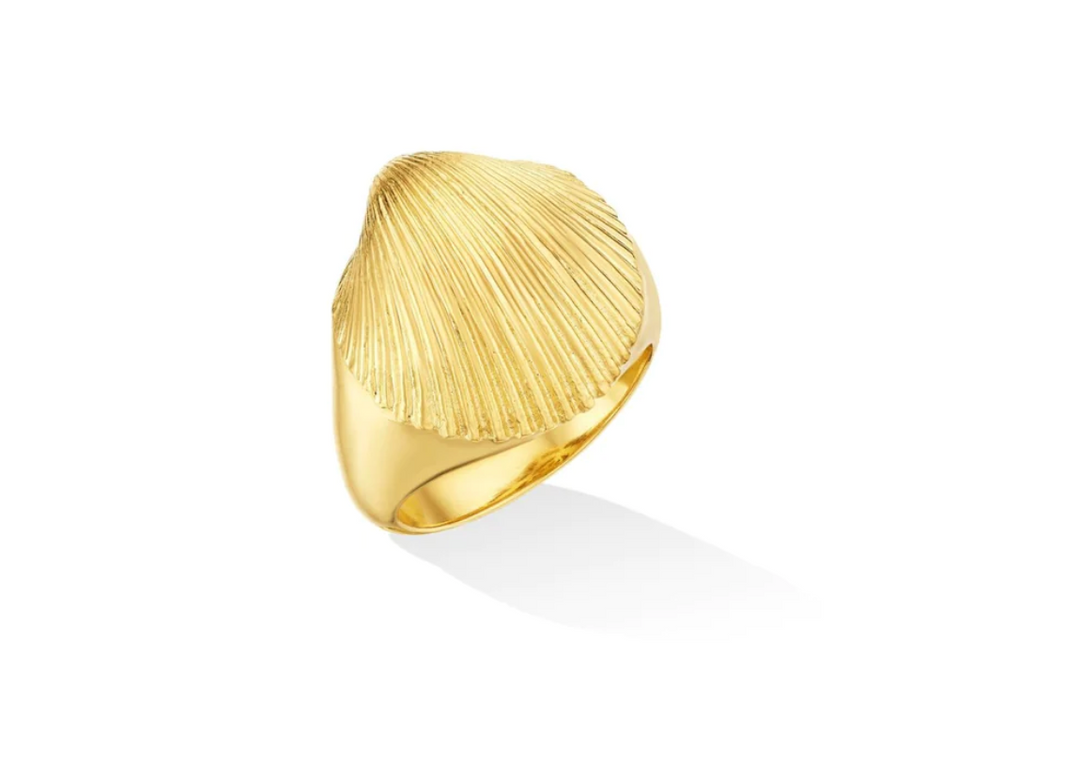 Yellow Gold Shell Pinky Ring - Millo 