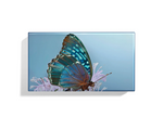 Load image into Gallery viewer, Les Papillons Diana Eye Trio
