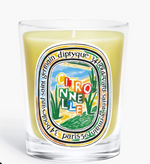 Load image into Gallery viewer, CITRONNELLE / LEMONGRASS CANDLE 190G
