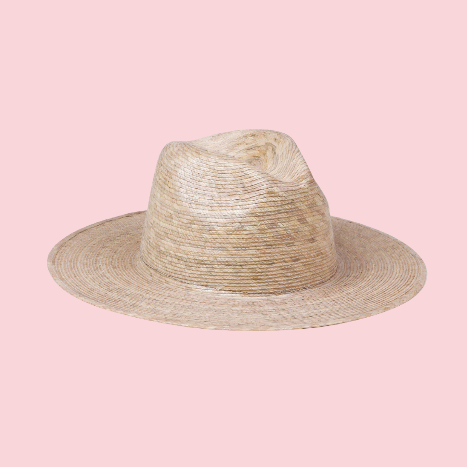 PALMA FEDORA