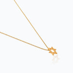 Load image into Gallery viewer, STAR OF DAVID FLAT 42 CM - Millo Jewelry
